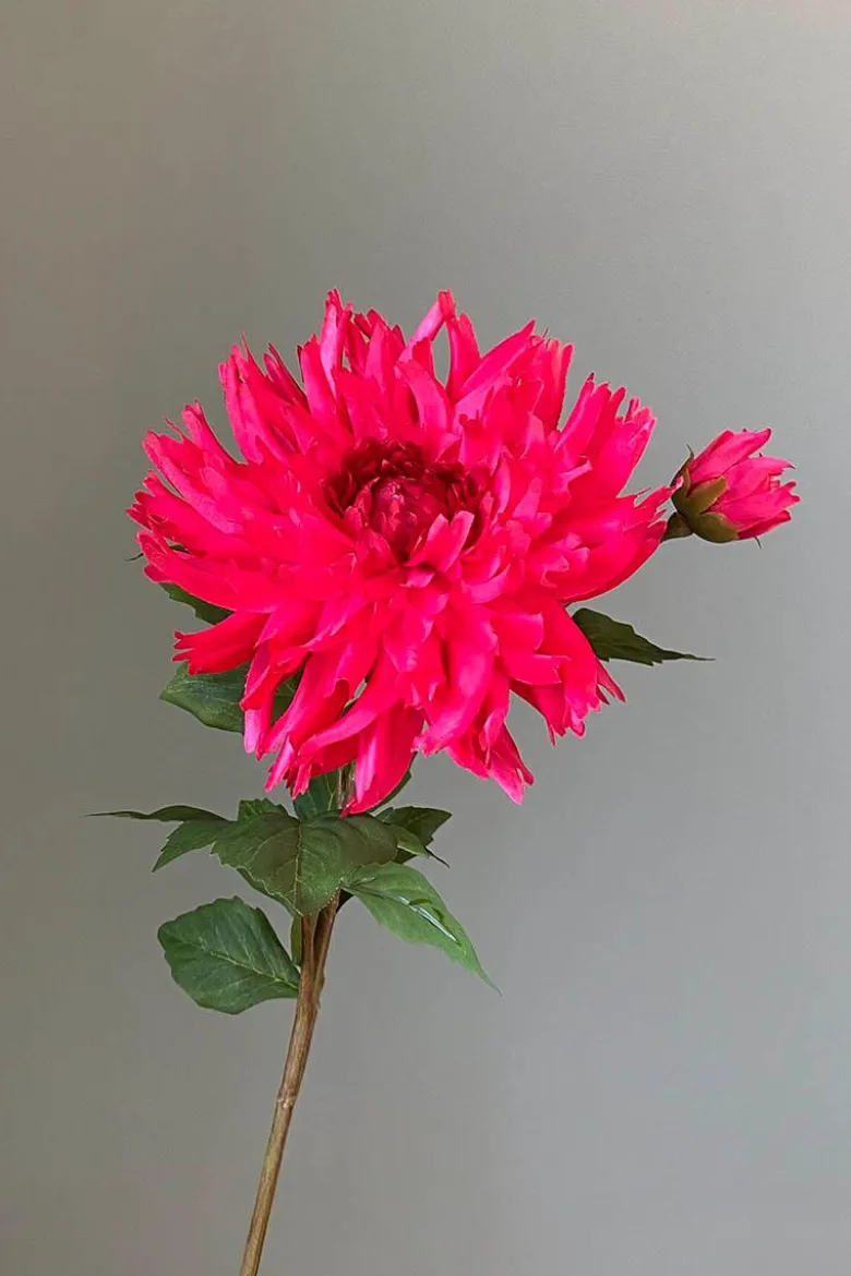 Pip Künstliche Blumen Coral Sunrise