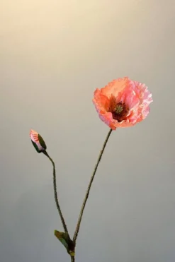 Pip Künstliche Blumen Peach Blossom